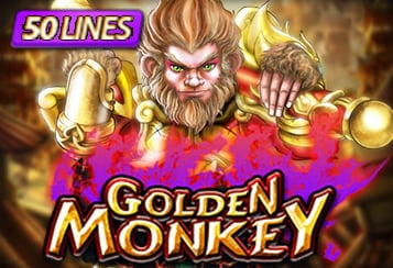 Golden Monkey